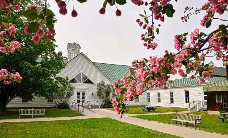 View of the library from across the quad, with apple blossoms.